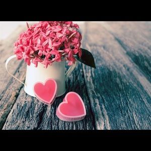 Meet your Posher, Traci